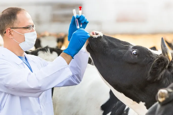 Maybo obtained a special license for sales of veterinary drugs